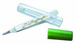 Термометр ртутный в футляре 1 шт.